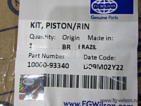 Поршень в сборе с кольцами, Std / PISTON AND RING KIT АРТ: 10000-93340