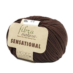 Пряжа Fibra Natura Sensational (40838)