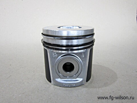 Поршень в сборе с кольцами, Std / PISTON AND RING KIT АРТ: 10000-93340