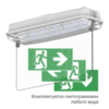 Светодиодные эвакуационные светильники выход Moncato DP629 IP65 D-sign комплектуются пиктограммами любого вида