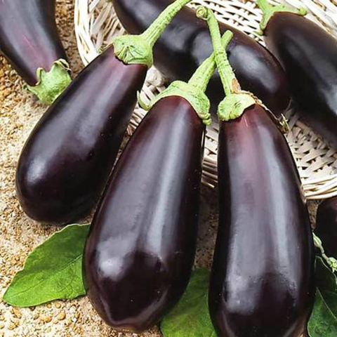 Баклажан Алмаз