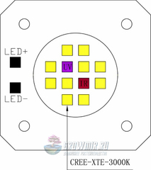 Модуль nx2 COB 30 Вт