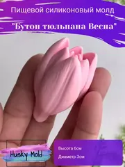 Пищевой молд 
