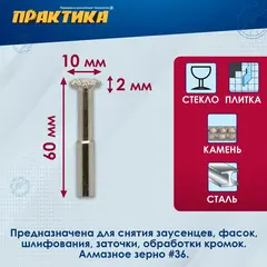 Шарошка алмазная ПРАКТИКА дисковая 10 х 2 мм, длина 60 мм, хвост 6 мм (646-959)