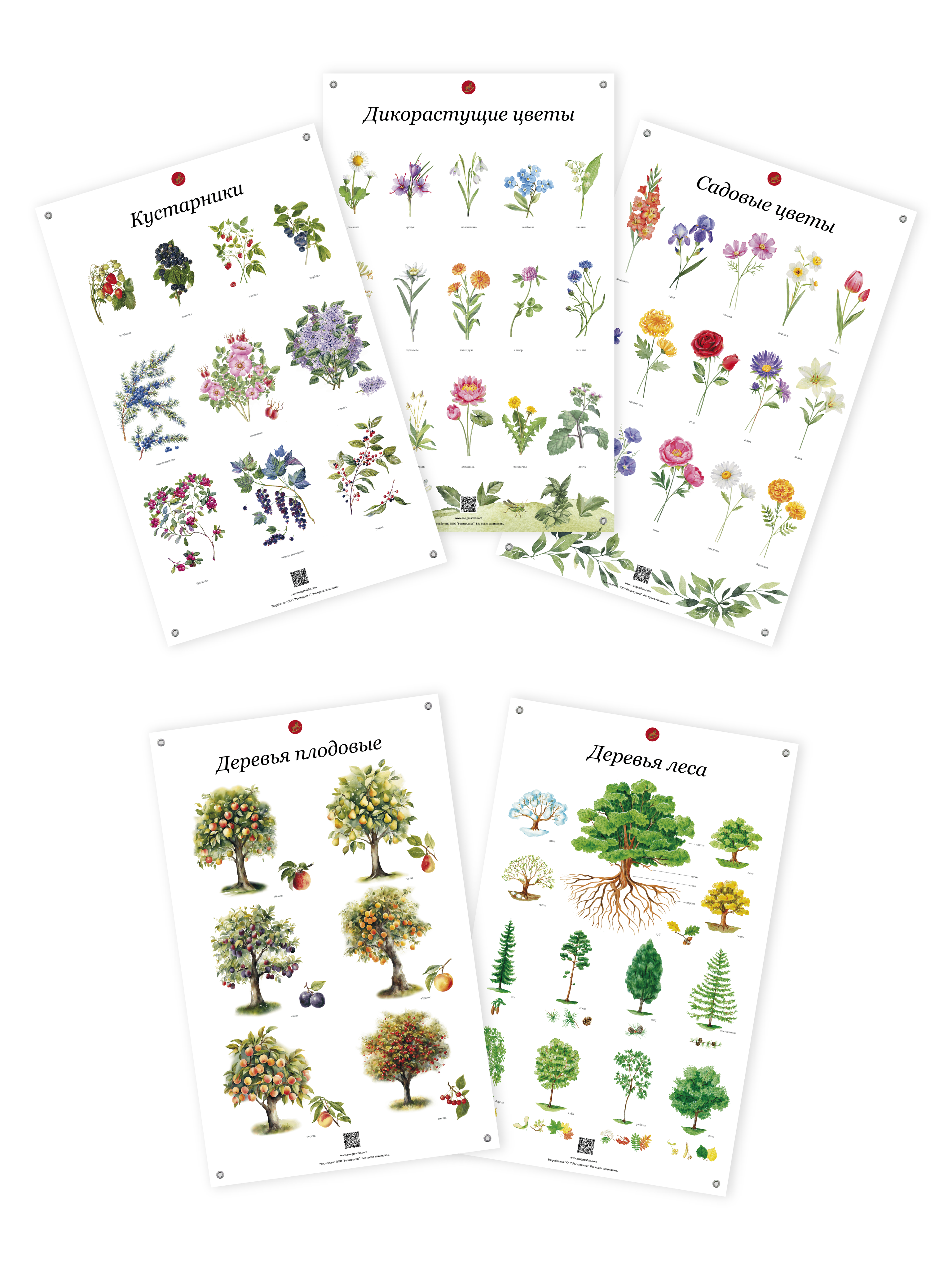 УМК для познавательного развития детей / комплект обучающих плакатов 38 шт. в тубусах