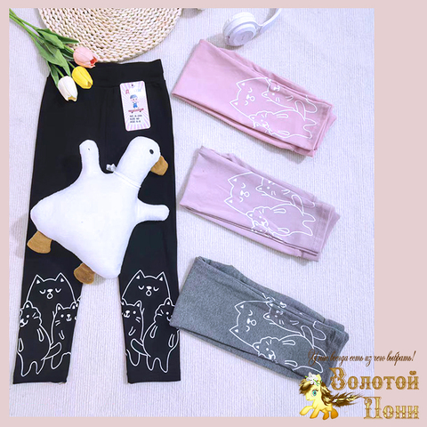 Лосины хлопок д (3-6) 260416-D-А209