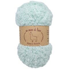 Wool Sea Alpaca Boucle 522 (водяная зелень)