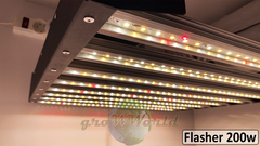 В180хД80хШ60 ГроуБокс FLASHER 200W или Rootster Board 250W LED SUPERSILENT