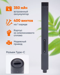 Аккумуляторная отвертка Xiaomi Mijia Electric Screwdriver 24 in 1 (MJDDLSD003QW) черный