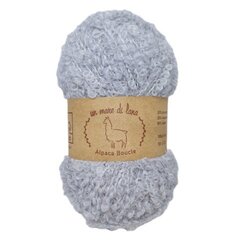 Wool Sea Alpaca Boucle 646 (светлая сталь)
