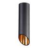 Потолочный светильник Odeon Light Prody 4209/1C