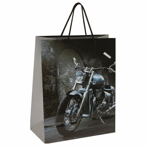 Пакет подарочный 26x12,7x32,4 см, ЗОЛОТАЯ СКАЗКА 