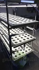 Многоярусный гидропонный стеллаж 3 яруса B1750хД2100хШ600мм до 300 растений