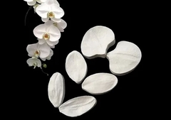 Набор силиконовых вайнеров 