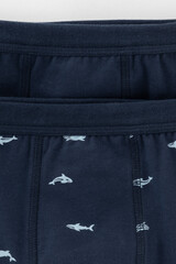 трусы/ уп  для мальчика  К 1980-2уп/морской синий,акулы