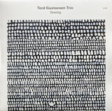 GUSTAVSEN, TORD: Seeing (Виниловая пластинка)