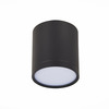 Светильник потолочный ST Luce ST113.442.05