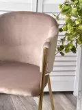 фото 4 Стул DILL BLUVEL-40 BEIGE, велюр/ золотой каркас М-City на profcook.ru
