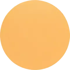 Шлифлист Bosch 225 мм, 1 шт, без отверстий К180 2608621031/1