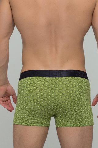 Мужские трусы 2023 Green Salvador Dali
