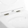 Унитаз подвесной безободковый CEZARES STYLUS-TOR CZR-6601-TH-TOR