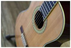 Гитара классическая 4/4 PEAVEY CNS 2