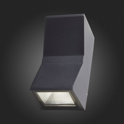 Светильник уличный настенный ST Luce Deale SL088.431.02