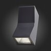 Светильник уличный настенный ST Luce Deale SL088.431.02