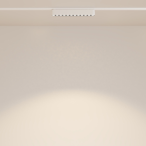 Трековый светильник Maytoni Points TR082-1-12W3K-M-W