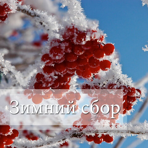 Сбор к Новому году и Рождеству (до 26 декабря)