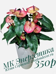Молд пластиковый+Вайнер силиконовый 