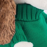 Пес Бартоломей в зеленом свитере
