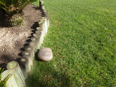 Приманочный контейнер Rock 200.102