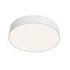 Потолочный светильник Technical Zon C032CL-L43W4K