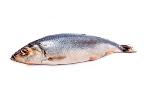 Сельдь Олюторская слабой соли~300г