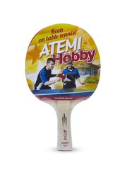 Набор для настольного тенниса Atemi Hobby SM (2ракетки+3мяча*+чехол)