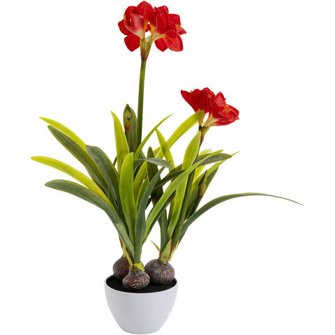 Предмет декоративный Amaryllis, коллекция 