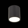 Светильник потолочный ST Luce ST113.442.05