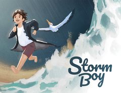 Storm Boy (для ПК, цифровой код доступа)