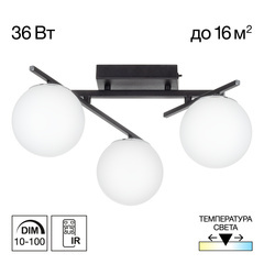 Потолочная светодиодная люстра Citilux DORSY CL223132 LED