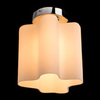 Светильник Arte Lamp Serenata A3479PL-1CC