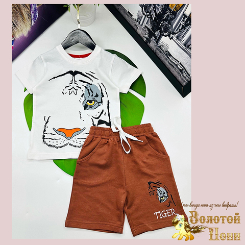 Костюм хлопок м (3-7) 250425-G1625