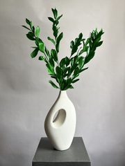 Рускус садовый стабилизированный темно-зеленый