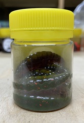 Форелевая силиконовая приманка COOL PLACE MAGGOT 1.6  цвет МАШИННОЕ МАСЛО С БЛЁСТКАМИ СЫР