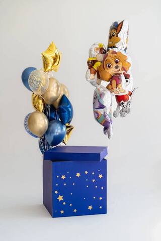 Сет гелиевых шаров Щенячий Патруль сюрприз с коробкой