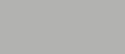 Staro Slab Mono Grey Matt 160x320
