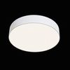 Потолочный светильник Technical Zon C032CL-L43W4K