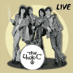 Чиж & Co / Live (LP)