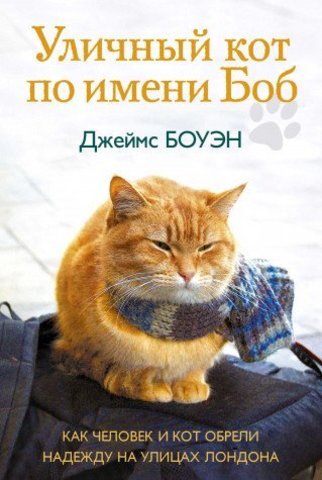 Уличный кот по имени Боб