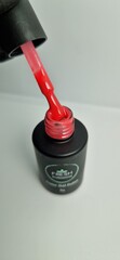 Fresh Lesya 12  8g